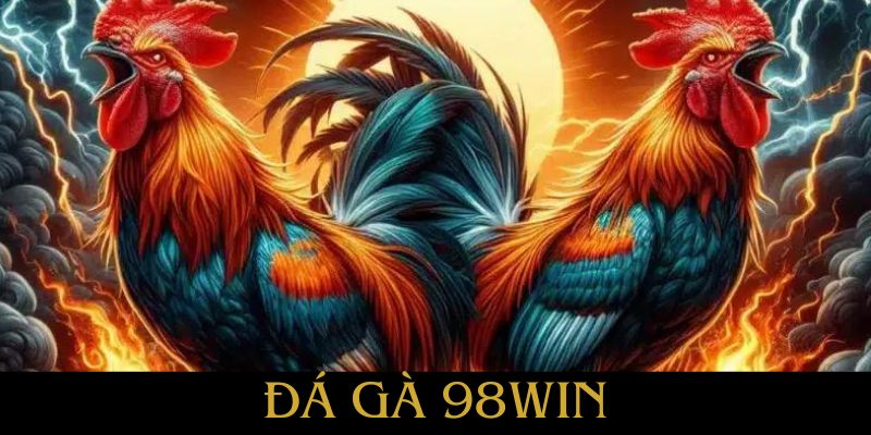 Có gì hấp dẫn tại sảnh đá gà 98WIN