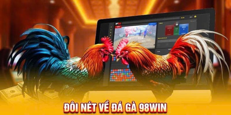 Đôi nét cần biết về sảnh đá gà 98WIN